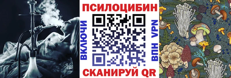 ОМГ ОМГ ССЫЛКА  Нефтеюганск  Псилоцибиновые грибы ЛСД  где купить  